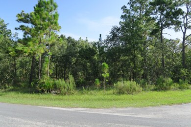 9 Primula Ct E, Homosassa, FL 34446 - photo 5