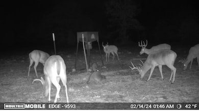 TBD County Road 1103, Athens, TX 75751 - photo 3