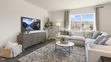 461 Swift Creek Farm Ln, Clayton, NC 27520 - photo 7