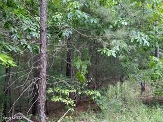 woods 3