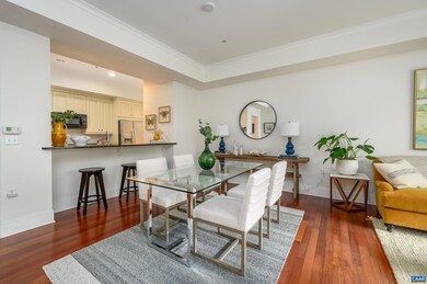 210 10th St NE unit 101, Charlottesville, VA 22902 - photo 7