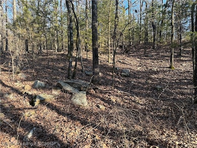 28734 Skyridge Ln, Heavener, OK 74937 - photo 6