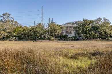 A closer view of the marsh in front of Meridian Co