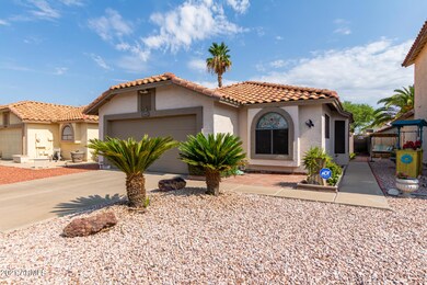 Desert Front Yard