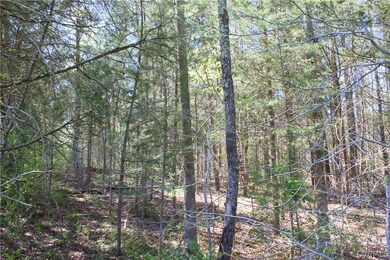 Wooded buildable lot right in Town!