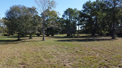 00000 Macedonia, Waller, TX 77484 - photo 5