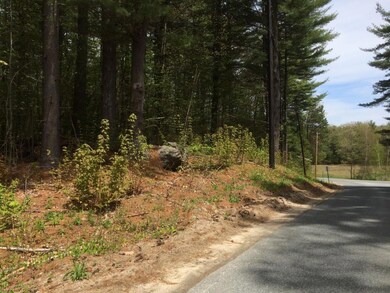 0 Mountainside Dr unit 4496495, Newbury, NH 03255 - photo 5