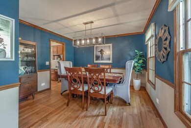 1852 Syracuse Rd, Naperville, IL 60565 - photo 3