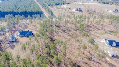 Drone / aerial view featuring a rural view