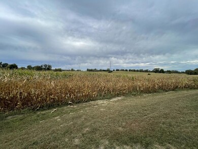 2536 W 2nd St, Galien Township, MI 49113 - photo 4