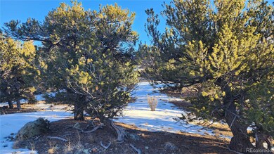 4480 Laidlaw Rd, Fort Garland, CO 81133 - photo 3