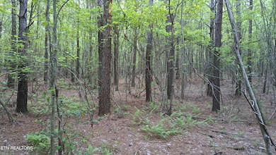 Lot 22 Airport Rd (Pca), Rockwood, TN 37854 - photo 2
