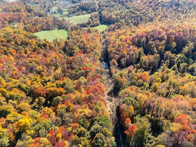 Parcel A Guston Run Rd, Cassville, WV 26501 - photo 5