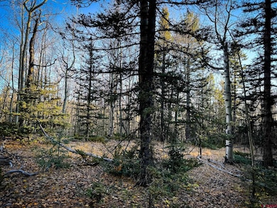 6817 Heckman Rd, San Luis, CO 81152 - photo 5