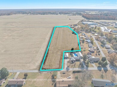 205 Dixon Branch Rd, Loretto, TN 38469 - photo 5