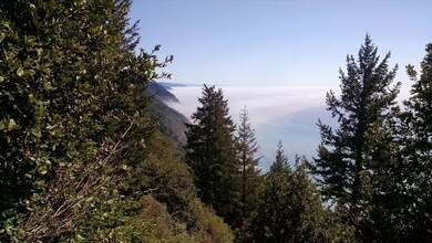 Above the fog line, warm southwester sun