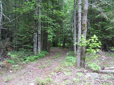 further beyond the cabin
