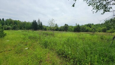 ON Cth A unit 4.62 Acres, Deerbrook, WI 54424 - photo 6
