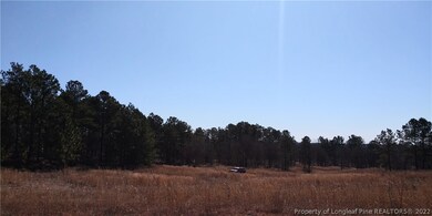 0 Serina Woods Wood unit 651948, Lillington, NC 27332 - photo 4