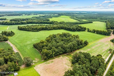 3-web-or-mls-DJI_0755