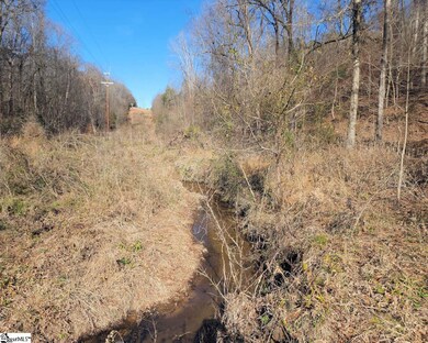 0 Boyds Mill Pond Rd unit 1514877, Laurens, SC 29360 - photo 6