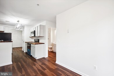 2155 Scotts Crossing Ct unit 101, Annapolis, MD 21401 - photo 7