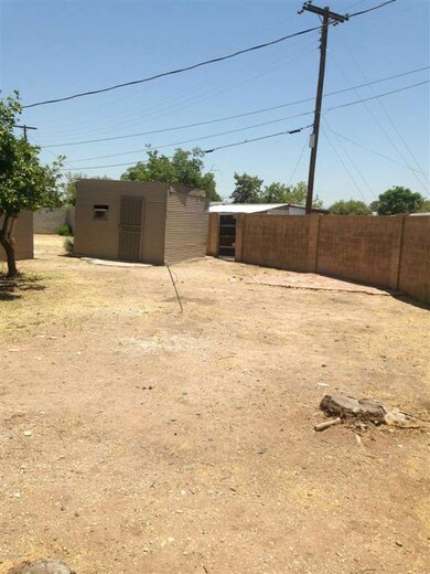 yard (3)