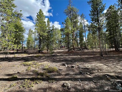 143 Fir Dr, Twin Lakes, CO 80461 - photo 6