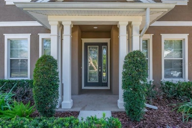 15607 Sunset Run Ln, Lithia, FL 33547 - photo 5