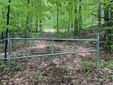 2400 Tower Rd, Hudson Township, MI 49795 - photo 3