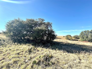 171 County Road 306, Goldthwaite, TX 76844 - photo 6