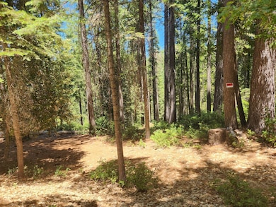 6296 Merry Way, Clipper Mills, CA 95930 - photo 2