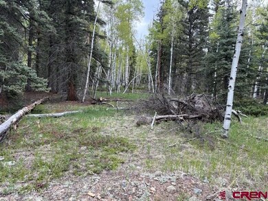 TBD Adams St, Jasper, CO 81144 - photo 2