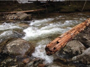 100 Gore Rd, Thornton, NH 03285 - photo 2