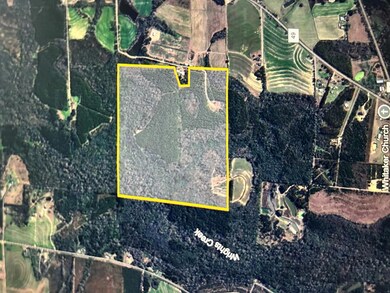 923 Lakeview Rd (159+-Ac), Slocomb, AL 36375 - photo 7