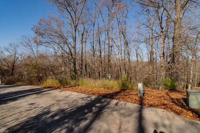 Lot #1 Raven Oak Dr, Kimberling City, MO 65686 - photo 4