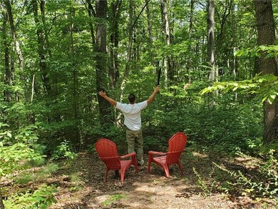 99999 Miranda Knoll, Leicester, NC 28748 - photo 6