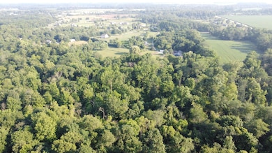 DJI_0185