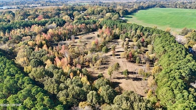 0 Hamer Rd, Dyersburg, TN 38024 - photo 3