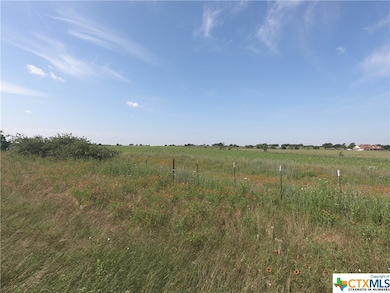 11801 W State Hwy 36, Temple, TX 76502 - photo 3