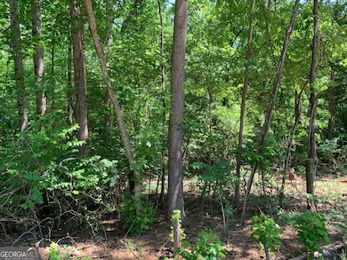 1030 Chambers Ct, Watkinsville, GA 30677 - photo 3