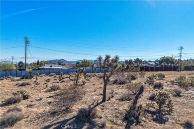 7201 Olympic Rd, Joshua Tree, CA 92252 - photo 7