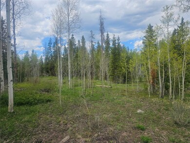 Aspen and Conifer Wooded