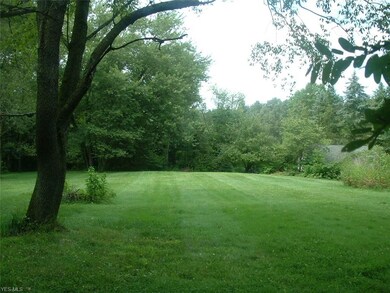 Side yard with garage in distant right