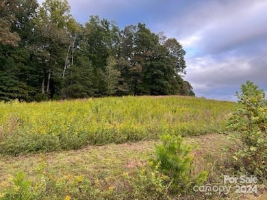 00 Stow-A-way Dr unit 44, Nebo, NC 28761 - photo 6