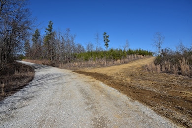 0 White Oak Rd unit RTC2974718, Stewart, TN 37175 - photo 7