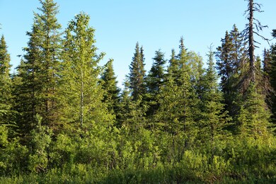 Stone River Lot 8