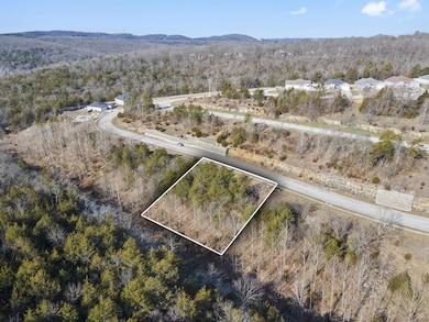 142/143 Country Ridge Way, Branson, MO 65616 - photo 2