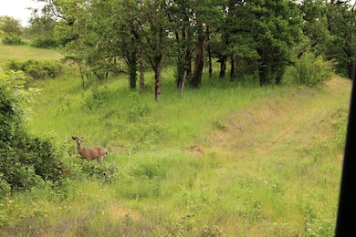 Black Tailed Deer Oregon Ranches Nickel