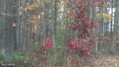 8200 Diamond Hill Rd, Warrenton, VA 20186 - photo 3